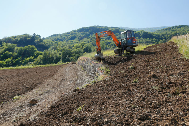 Terrassement-plantation-4.jpg