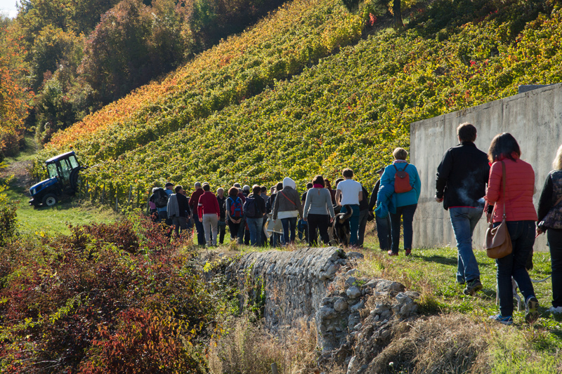 Portes-Ouvertes-Grisard-Balade.jpg