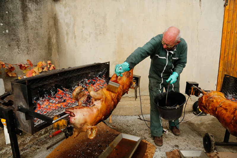 Portes-Ouvertes-Grisard-cochons.jpg