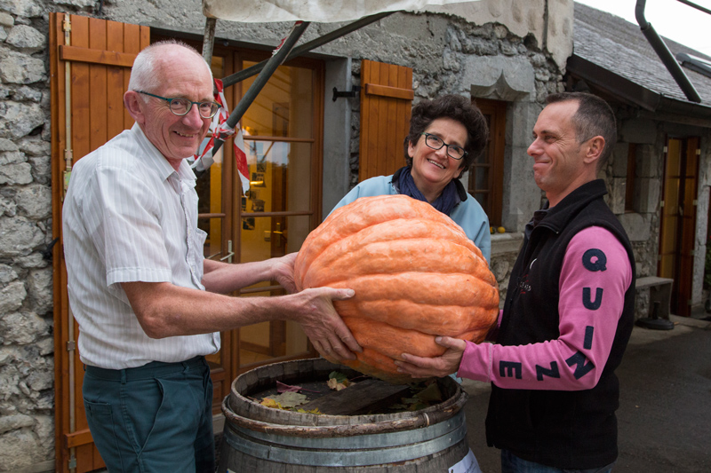 Portes-Ouvertes-Grisard-courge.jpg