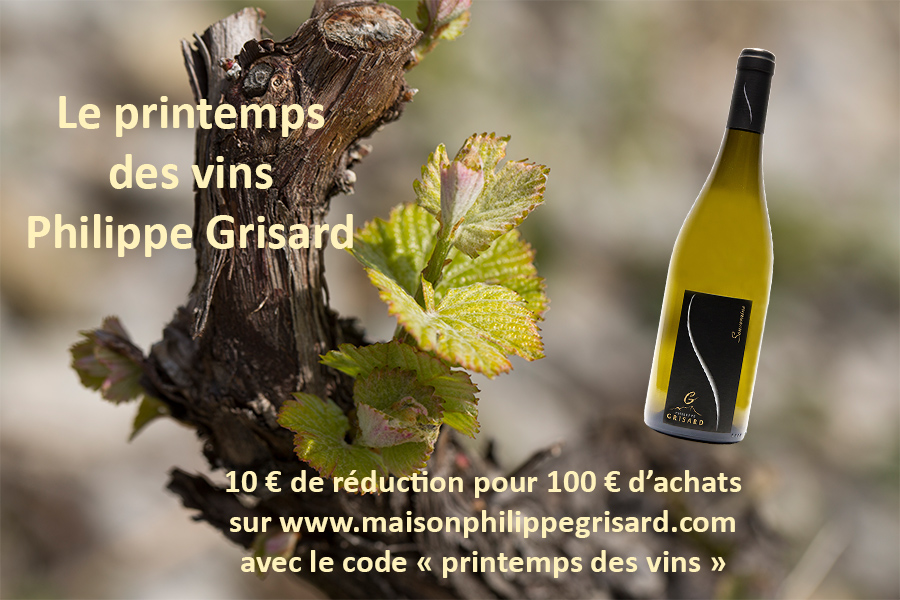 Printemps-des-vins-2017.jpg