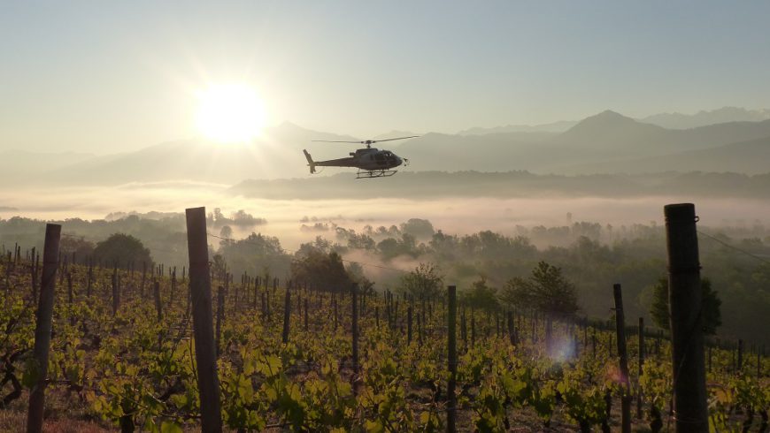 Esprit collectif chez les vignerons en Combe de Savoie !