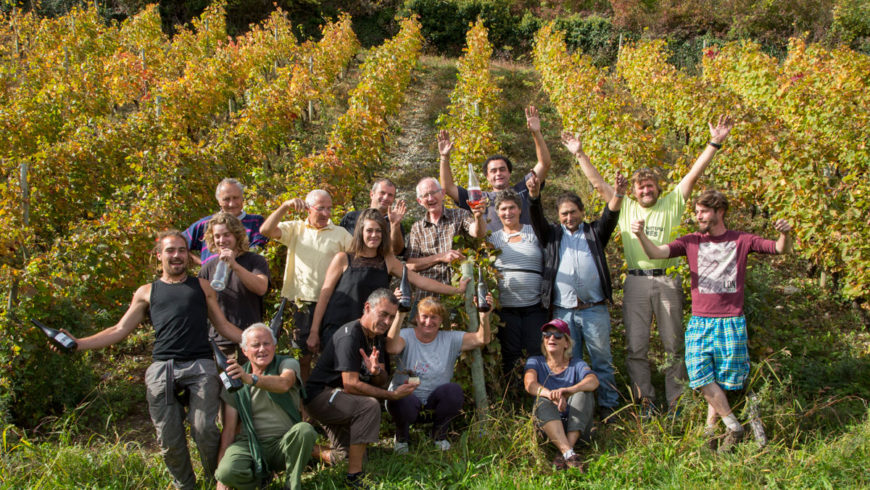 Vendanges achevées… Satisfaction du travail bien accompli !