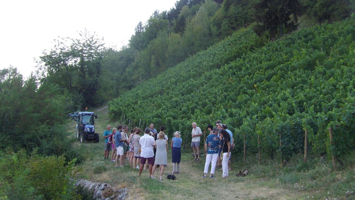 Apéro’Vignes jeudi 2 août 2018