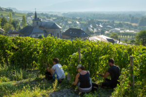 Vendanges-Fréterive-2018