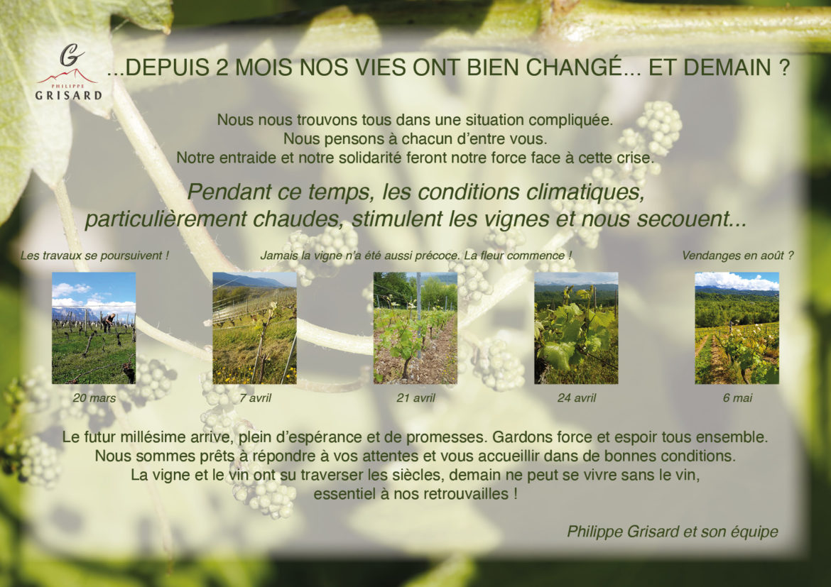 Pendant-ce-temps-dans-les-vignes...-version-particuliers.jpg