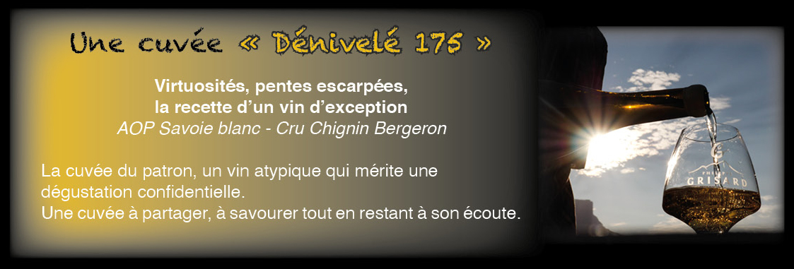 Bannière-Dénivelé-175.jpg