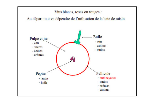 compo-baie-2-web.jpg