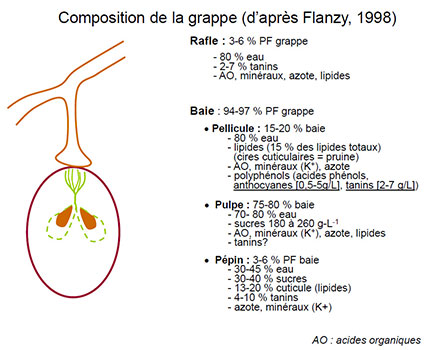 compo-baie-4.jpg