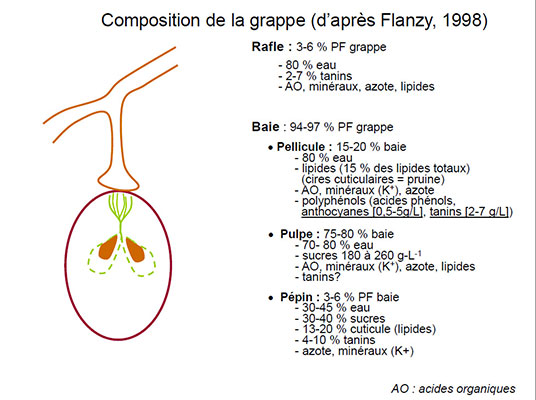 compo-baie-web.jpg