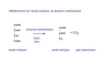 reaction-FML.jpg