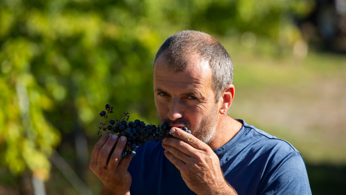 Franck – ouvrier agricole polyvalent