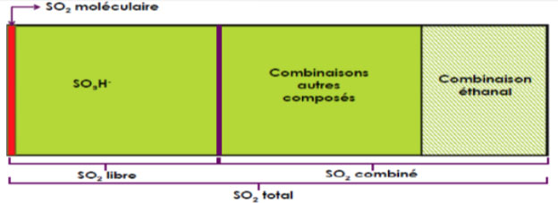 Schéma-soufre.jpg