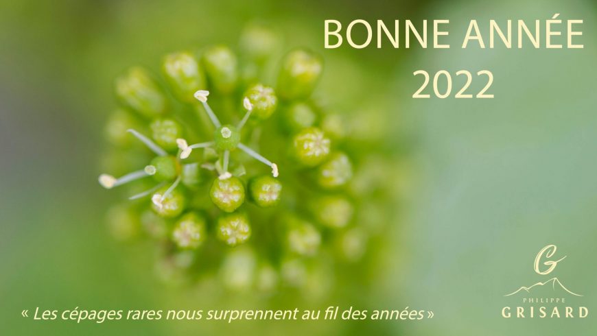 Bonne année 2022 !