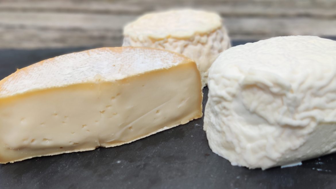 Accords fromages et vins des Estivales du 11 juin 2022