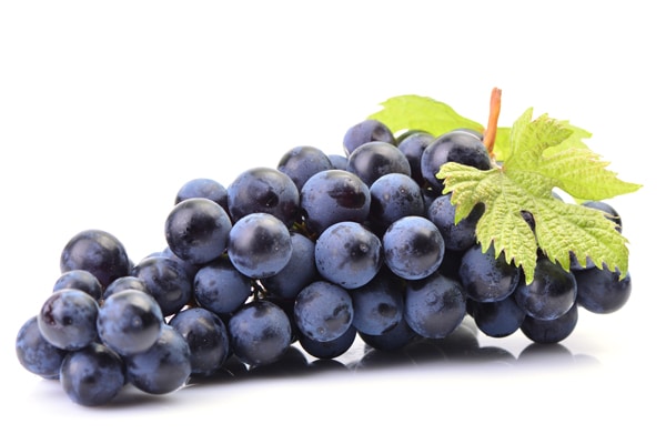 AdobeStock_216600994_600.jpg
