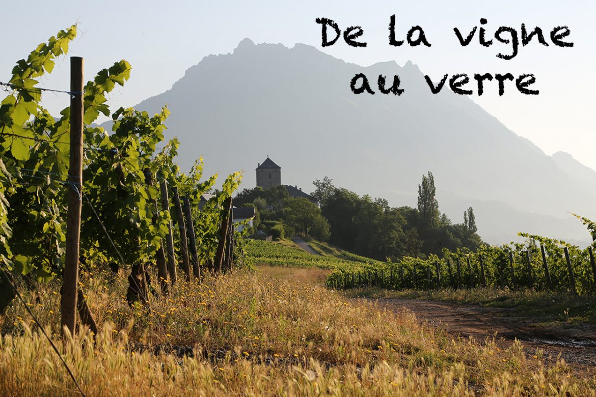 Photo-titree-De-la-vigne-au-verre.jpg