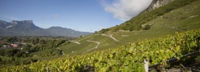 Dégustation vente de vins à Chainaz-les-Frasses
